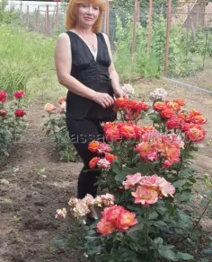 Карина